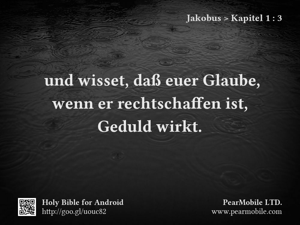 Jakobus, Kapitel 1:3
